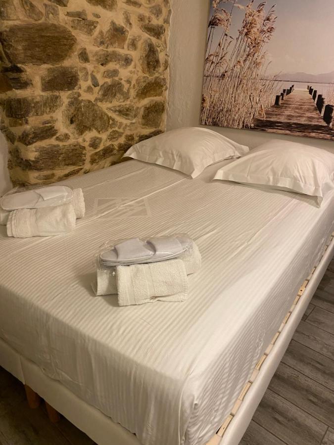 Studio Suquet Saint Antoine Κάννες Εξωτερικό φωτογραφία